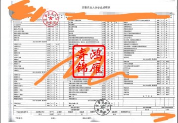 安徽农业大学中文成绩单打印案例