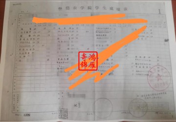  仲恺农业工程学院中文成绩单打印案例