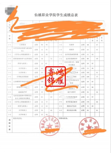 仙桃职业学院出国留学成绩单打印案例