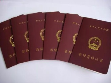 南阳师范学院补办教师资格证书、教师资格认定申请表(补)的工作流程