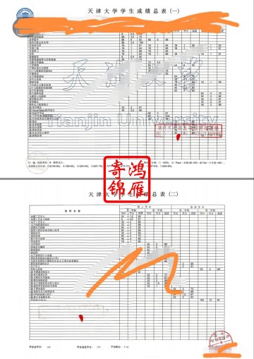 天津大学出国留学中英文成绩单打印案例