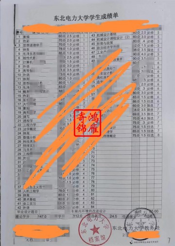 东北电力大学本科中文成绩单打印案例