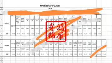 淮南联合大学中文成绩单模版