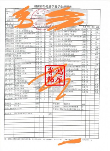 湖南涉外经济学院中文成绩单打印案例