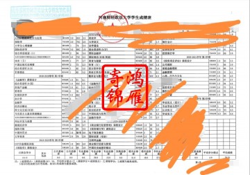河南财经政法大学中文成绩单打印案例