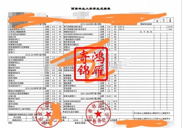 西南林业大学中文成绩单打印案例