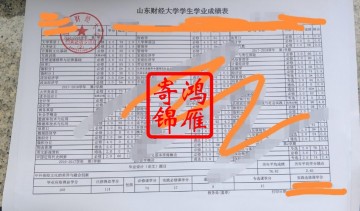 山东财经大学出国留学中文成绩单打印案例