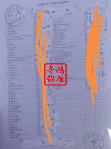 山东科技大学毕业生中文成绩单打印案例