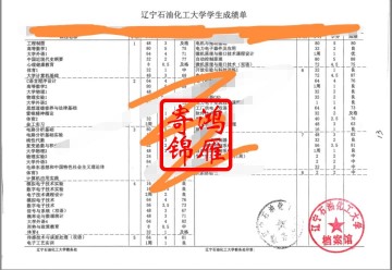 辽宁石油化工大学中文成绩单打印案例