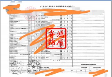 广东轻工职业技术学院中文成绩单打印案例