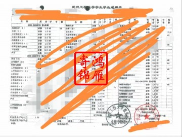 武汉工程大学本科中文成绩单打印案例