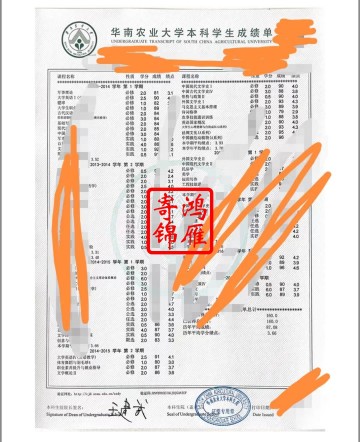 华南农业大学本科中英文成绩单打印案例