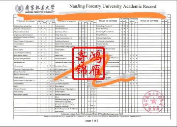 南京林业大学出国留学中英文成绩单打印案例