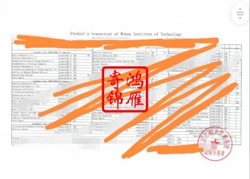 武汉工程大学本科出国英文成绩单打印案例