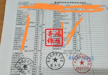 广州番禺职业技术学院中文成绩单打印案例