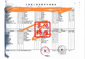 大连轻工业学院中文成绩单打印案例