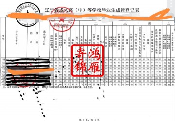 辽宁装备制造职业技术学院中文成绩单打印案例